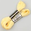 Embroidery floss / Yellow 1513 (415)
