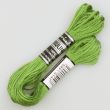Embroidery floss / Green 1685 (600)