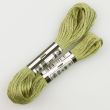 Embroidery floss / Green 1705 (613)