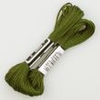 Embroidery floss / Green 1694 (614)