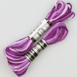 Embroidery floss / Violet 5058