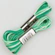 Embroidery floss / Green 5856