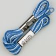 Embroidery floss / Blue 5428