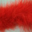 Feather trim / Red