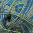 Yarn Regia City Streets Color 4ply / 02889 Broadway
