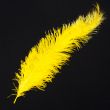 Feather / Ostrich / 50 cm / Yellow