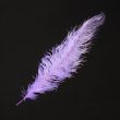 Feather / Ostrich / 50 cm / Lilac