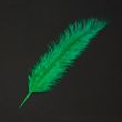 Feather / Ostrich / 50 cm / Emerald