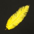 Feather / Ostrich / 40 cm / Light yellow