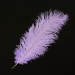 Feather / Ostrich / 40 cm / Lilac