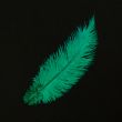 Feather / Ostrich / 40 cm / Emerald