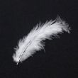 Feather / Marabou / White