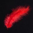 Feather / Marabou / Red