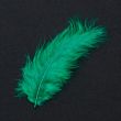 Feather / Marabou / Green