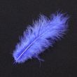 Feather / Marabou / Royal