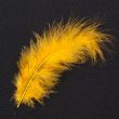 Feather / Marabou / Gold