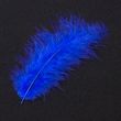 Feather / Marabou / Cobalt blue