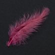 Feather / Marabou / Wine
