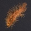 Feather / Marabou / Brown