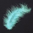 Feather / Marabou / Baby blue