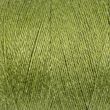 Linen thread 40/500m / Green 262