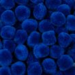 Acrylic pom-poms set 12 mm / Blue