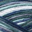 Yarn Regia Nordic Color / 08123 Forest