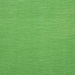 Crepe Paper / Light green