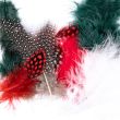 Colourful marabou feathers / 2901 Bottle Red White Mix