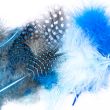 Colourful marabou feathers / 2902 Turquoise Blue Mix