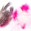 Colourful marabou feathers / 2903 Pink Fuchsia Grey mix