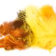 Colourful marabou feathers / 2905 Yellow Orange Mix