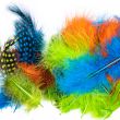 Colourful marabou feathers / 2906 Orange Turquoise Green Mix