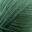 Yarn WoolBox Aran with 25% Wool 400g / Green