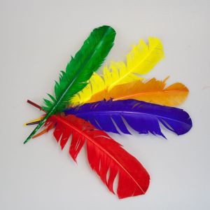 Colorful feathers / Turkey Quills