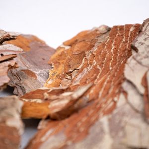 Pieces of wood bark / Natural