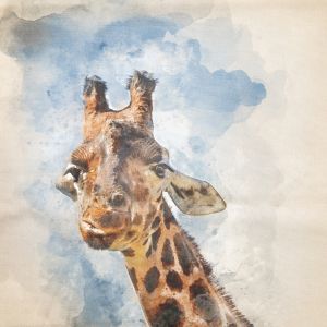 Decorative cotton fabric coupon / Giraffe