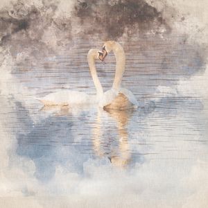 Decorative cotton fabric coupon / Swan