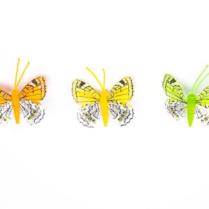 Butterfly decoration / Citrus A