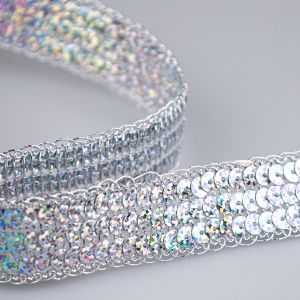 Net Trim with Sequins 25 mm / Silver Hologram