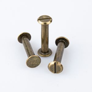 Screw rivet 25 mm / Oxide