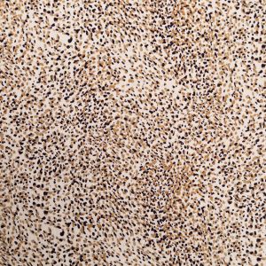 Printed viscose fabric Borken Crepe Yoryu