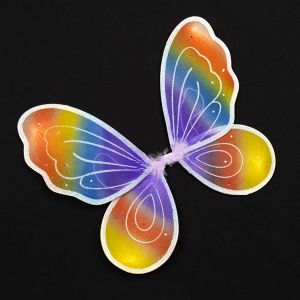Fairy wings / Rainbow