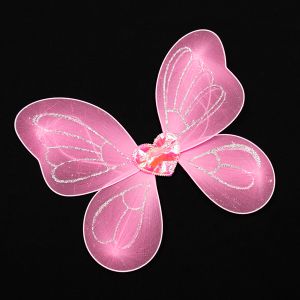 Fairy wings / Pink