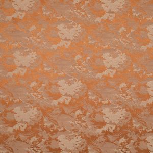 Satin jacquard / D5