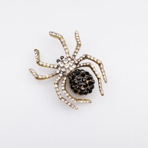 Brooch Spider