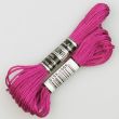 Embroidery floss / Violet 1599 (504)