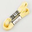 Embroidery floss / Yellow 1720 (437)