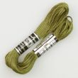 Embroidery floss / Green 1706 (616)
