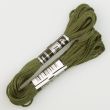 Embroidery floss / Green 1707 (603)
